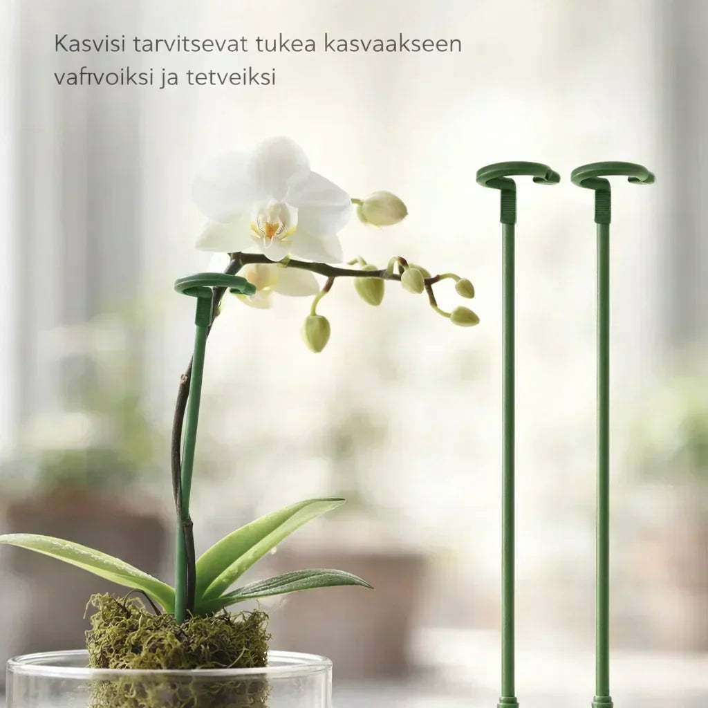 KasviTuki – Tukea vahvemmille ja suoremmille kasveille