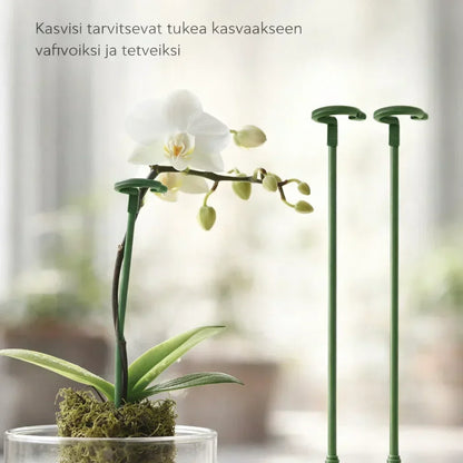 KasviTuki – Tukea vahvemmille ja suoremmille kasveille