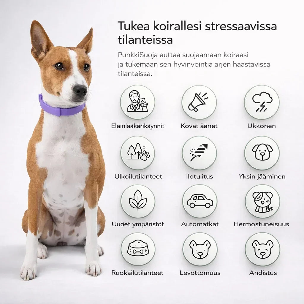 PunkkiSuoja – Luotettava suoja punkkeja vastaan